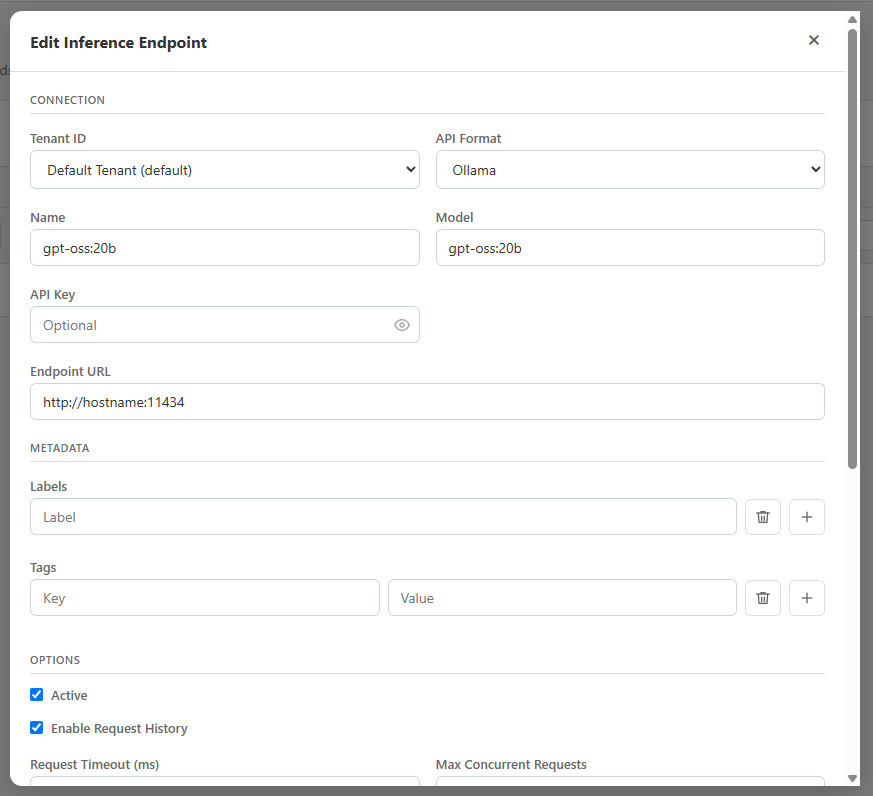 Partio dashboard Edit Inference Endpoint dialog with connection, metadata, and options fields